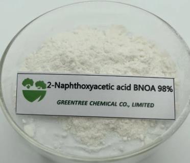 2-Naphthoxyacetic Acid BNOA Auxin