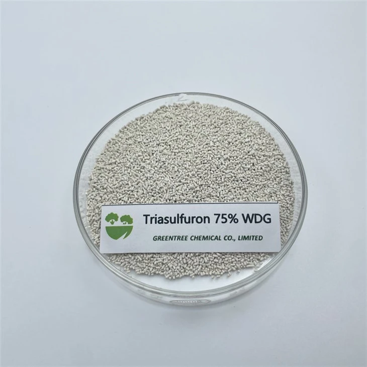 CAS 82097-50-5 Triasulfuron 75% Wdg Herbicide Weedicide