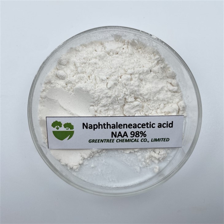 CAS No. 86-87-3 Plant Growth Hormone Naphthaleneacetic Acid NAA 98%
