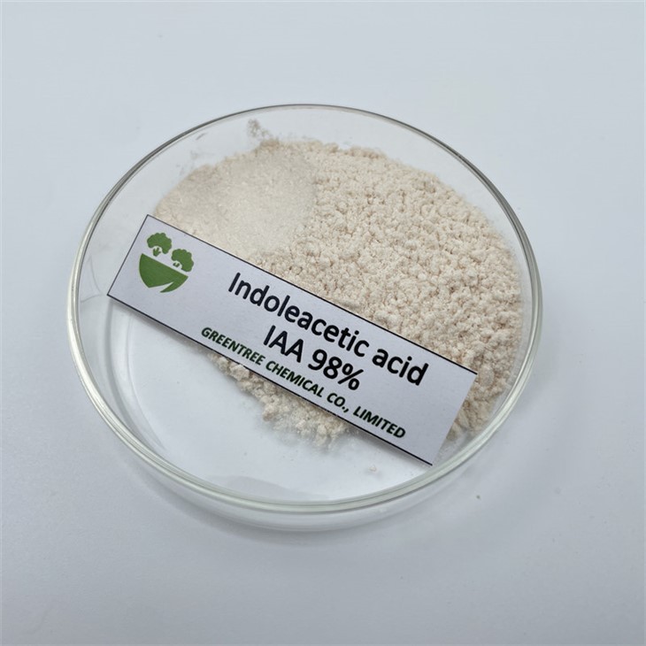 CAS NO. 87-51-4 Premium Plant Growth Regulator Iaa Indole-3-Acetic Acid 98%Tc