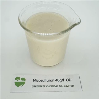 Herbicyd Nikosulfuron 40 G/L OD Selektywny środek chwastobójczy na polu kukurydzy