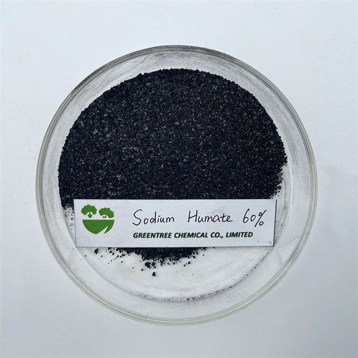 CAS NO 68131-04-4 Humic Acid Sodium Humate 60% For Aquaculture