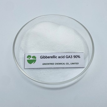 Gibberellic GA3 90%TC Gibberellic GA3 90%TC