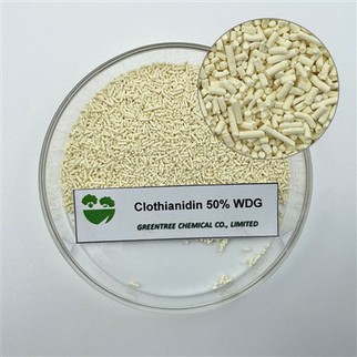 NR CAS. 210880-92-5 Pestycydy Insektycydy Chlotianidyna 50 procent Wdg 75 procent Wdg